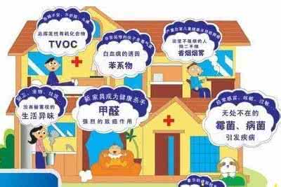 除甲醛加盟項目搶占市場先機是重點！